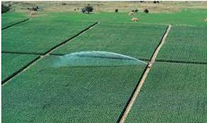 Types / Methods and Challenges of Irrigation Farming