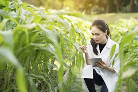 What Can I Do With An Agriculture Degree?