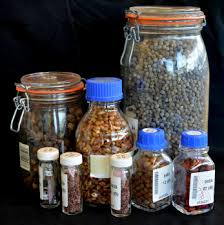 Collection, Handling, Storage and Pre-Treatment of Seeds