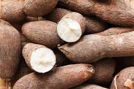 Cassava (Manihot esculenta): Health Benefits, Healing Powers and Uses