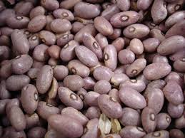 Six (6) Dry Beans Principles of Disease Management