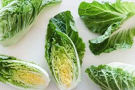 Find Out The Latest Findings About Cabbage