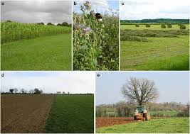 The Different Cropping Systems in Africa The Different Cropping Systems in Africa