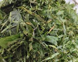 Ukazi Feuille (Gnetum Africanum): la Nutrition, des Faits et des Avantages pour la Santé