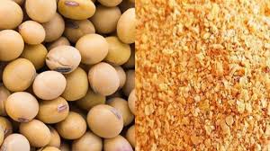 Soybean Meal: Health Benefits, Healing Powers and Use