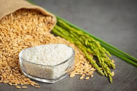 Importance and Health Benefits of Rice (Oryza sativa)