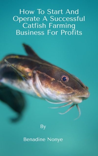 How To Start And Operate A Successful Catfish Farming Business For Profits