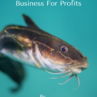 How To Start And Operate A Successful Catfish Farming Business For Profits