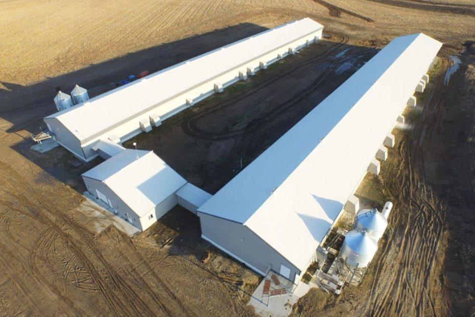 Top 5 Features of Poultry Houses/Buildings