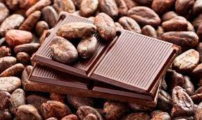 Products That Can Be Made From Cocoa