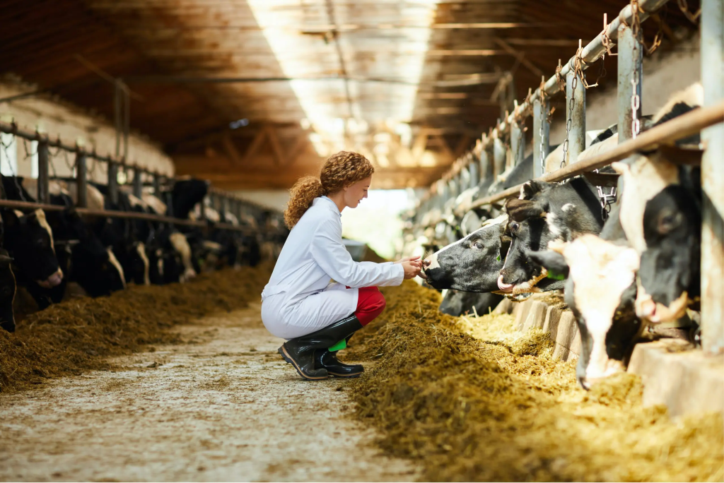 Causes of Diseases in Farm Animals and How to Prevent Disease Outbreak Causes of Diseases in Farm Animals and How to Prevent Disease Outbreak