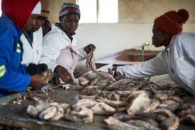 Problems of Post-Harvest Fish Activities and its Management Procedures