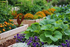 The Ultimate Step-by-Step Guide to Vegetable Gardening