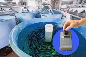 The Importance of Water Quality in Aquaculture