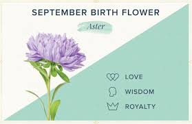 September Flowers Complete Growing Guide September Flowers Complete Growing Guide