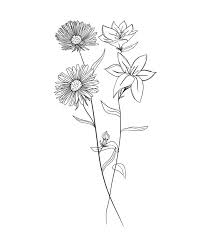 September Flowers Complete Growing Guide September Flowers Complete Growing Guide