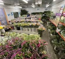 All You Need To Know About Wholesale Flowers