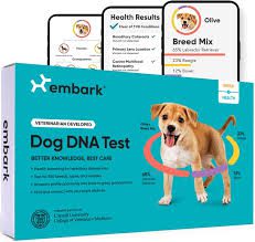 All You Need To Know About Embark DNA All you need to know about Embark DNA