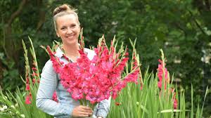 Gladiolus Flowers (Sword Lily): Complete Growing and Care Guide 