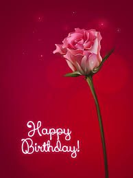 Significance and Uses of Happy Birthday Rose Flowers