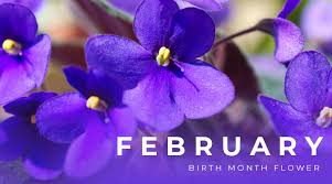 February Flowers Complete Growing Guide