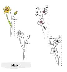 March Flowers Complete Growing Guide March Flowers Complete Growing Guide