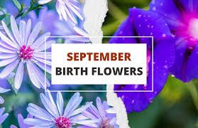 September Flowers Complete Growing Guide