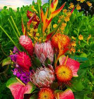 Significance And Uses of Tropical Flowers