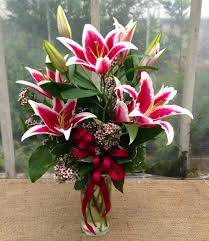 Stargazer Lily Flowers (Lilium Stargazer): All You Need To Know About