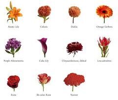 Significance and Uses of Fall Flowers