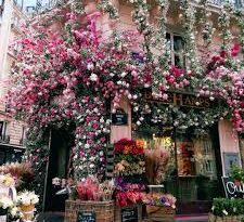 All You Need To Know About Flower Stores