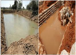 “Earthen Pond vs Concrete Pond” Which one is your Recommendation?