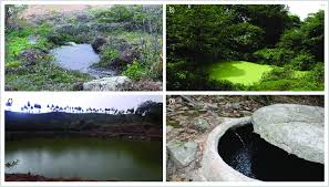 Earthen Pond vs Concrete Pond” Which one is your Recommendation