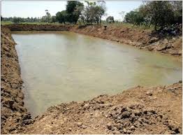 The Ideal depth of an Earthen Fish Pond