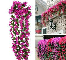 Significance and Uses of Hanging Flowers