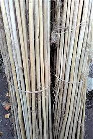 Economic Importance, Uses, and By-Products of Jute Outer bark
