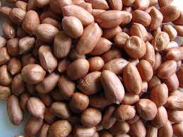 Groundnuts/Peanuts Seeds (peanuts)