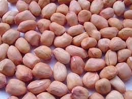 Economic Importance, Uses, and By-Products of Groundnuts/Peanuts Seeds (peanuts)