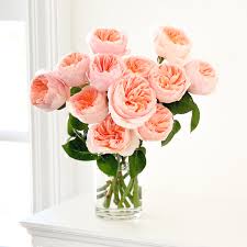 Significance and Uses of Long Stem Rose Flowers