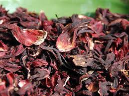 Jamaica Flowers (Hibiscus Sabdariffa): Complete Growing and Care Guide 