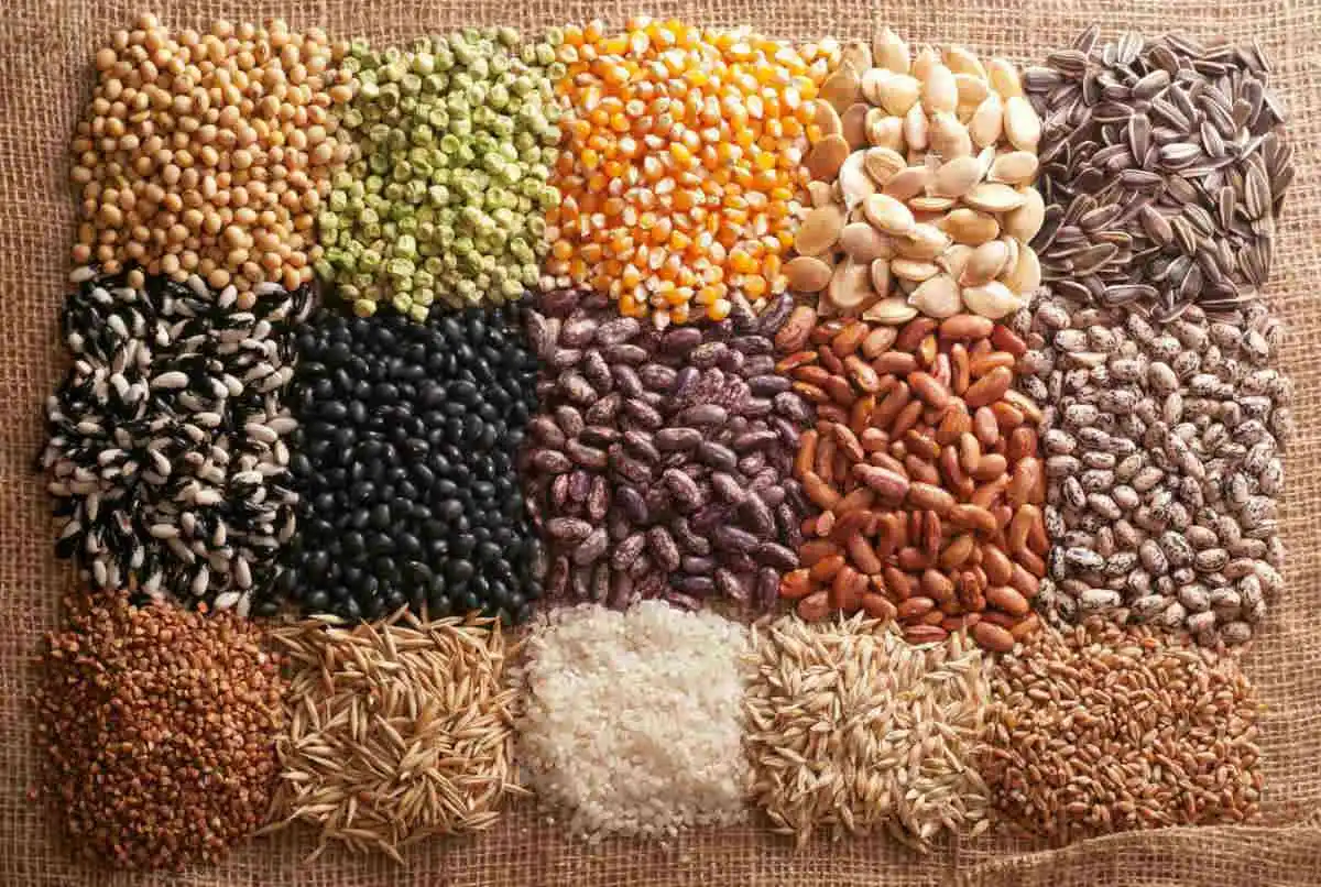 Toads and Frogs: Difference, Facts, Habitat, Feeding, etc.