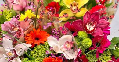 Significance And Uses of Trader Joe's Flowers
