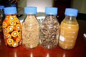 Economic Importance, Uses, and By-Products of Oil Palm Mesocarp
