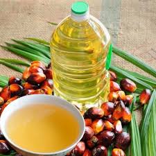 Oil Palm Kernel