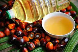 Economic Importance, Uses, and By-Products of Oil Palm’s Palm Kernel Oil