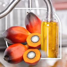 Economic Importance, Uses, and By-Products of Oil Palm’s Palm Kernel Oil