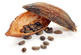 Economic Importance, Uses, and By-Products of Cocoa/Cacao Husk