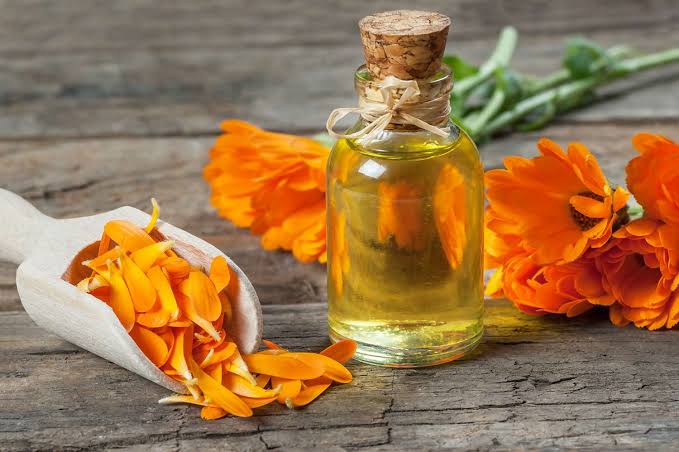 Calendula Flowers: All You Need To Know About