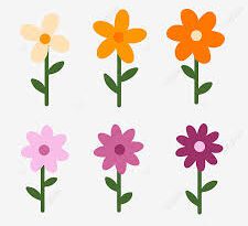 Simple Flowers: All You Need To Know About