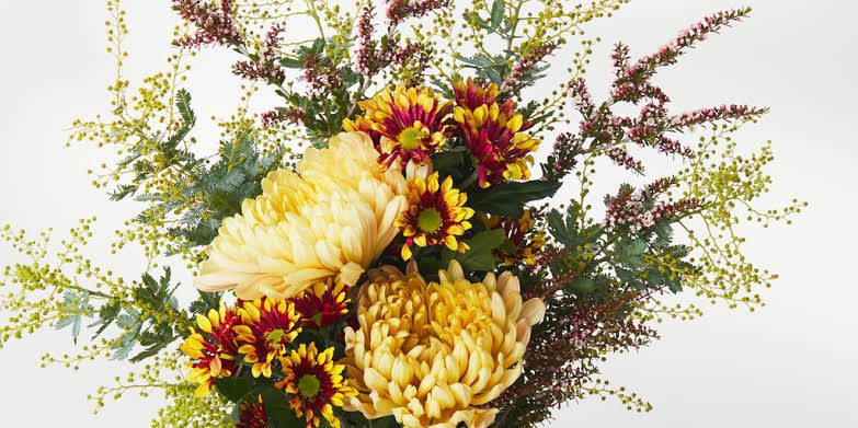 Significance And Uses of Posy Flower